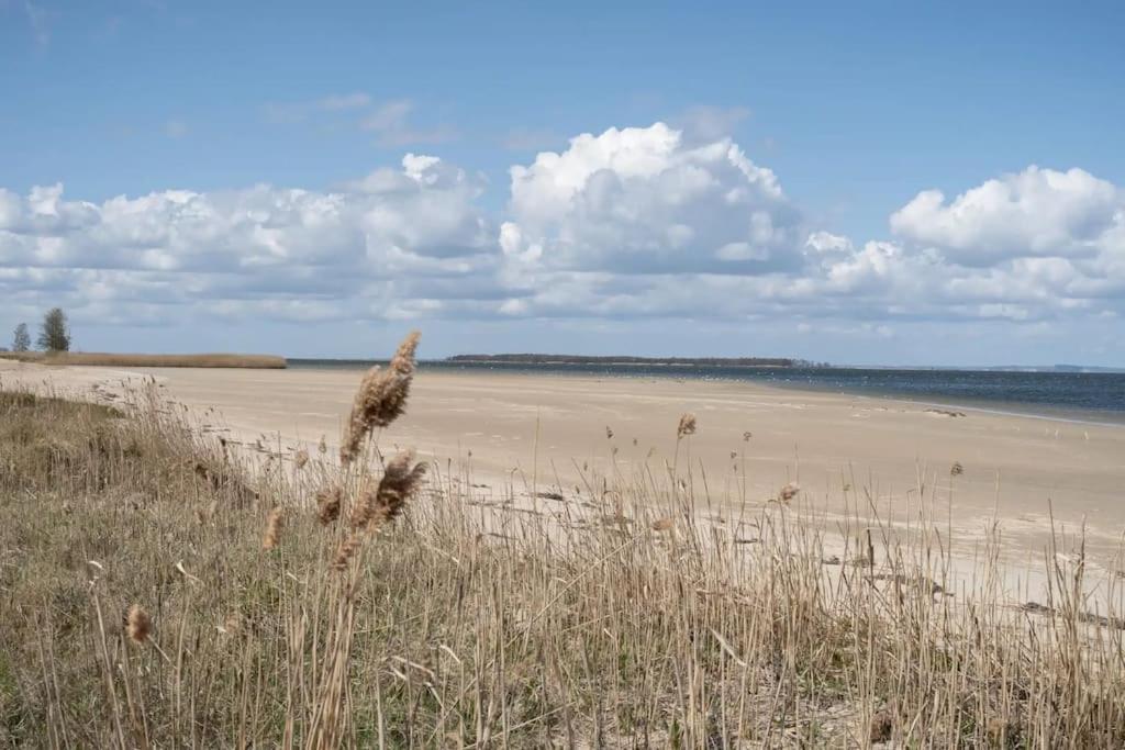Ferienhaus Koserow, Usedom, 8 Pers., Hunde Erlaubt Eksteriør bilde